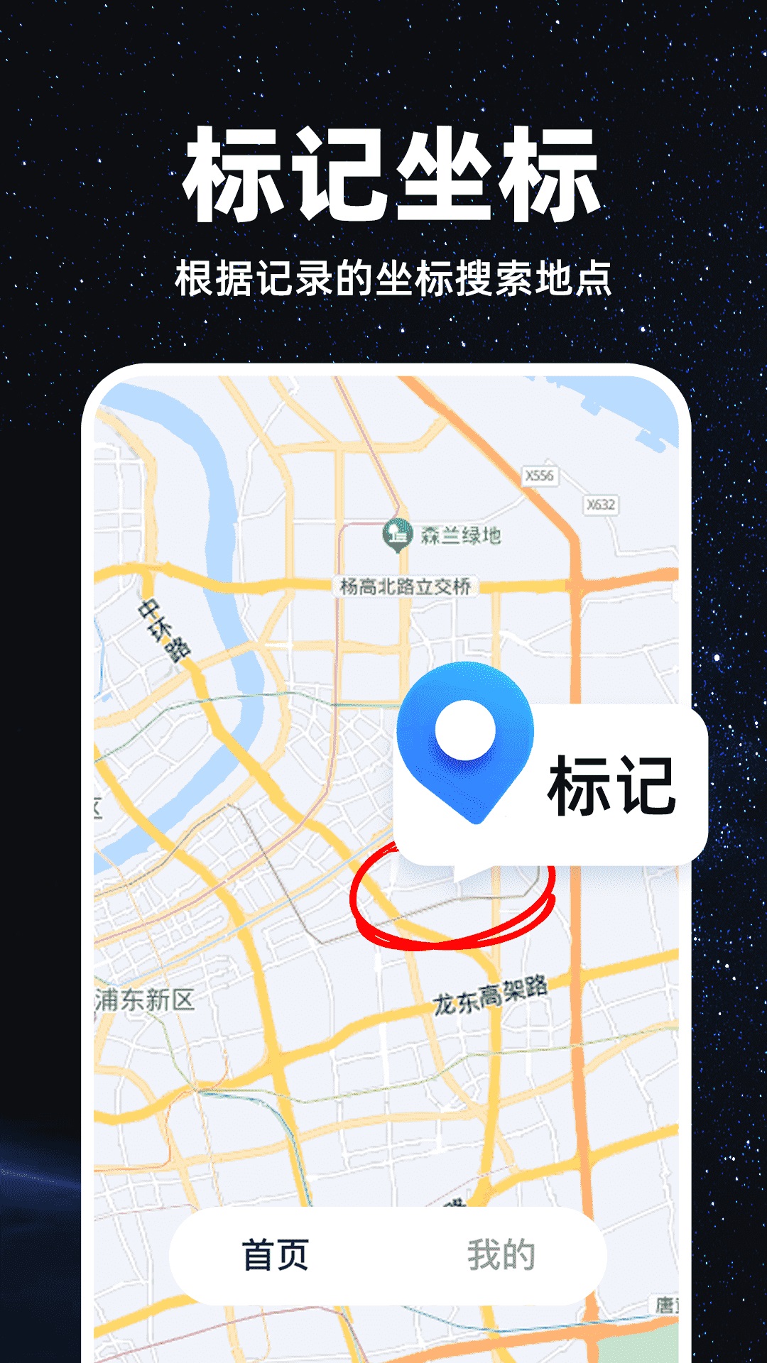 精准卫星地图软件版