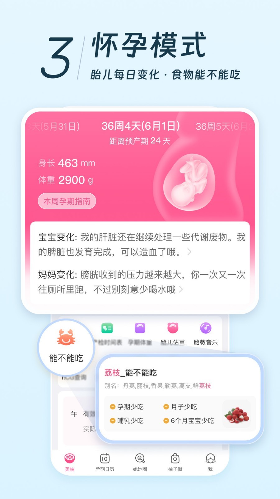 美柚经期助手