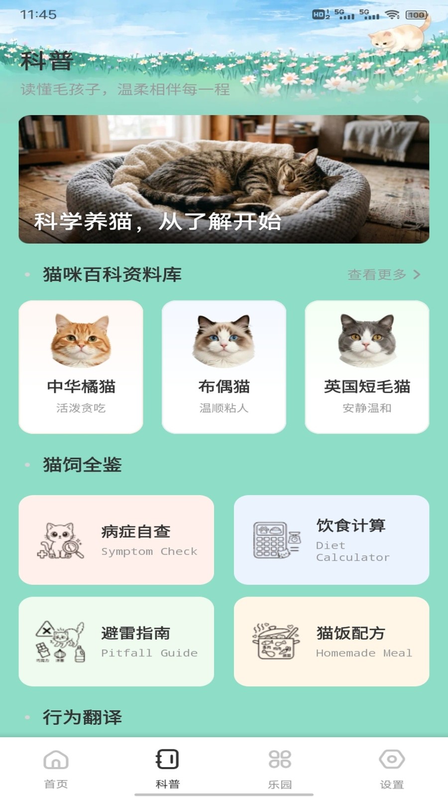 飞菲猫助手