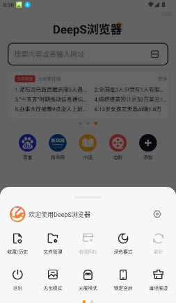 DeepS浏览器