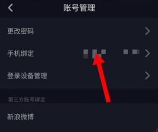 腕上抖音简约版