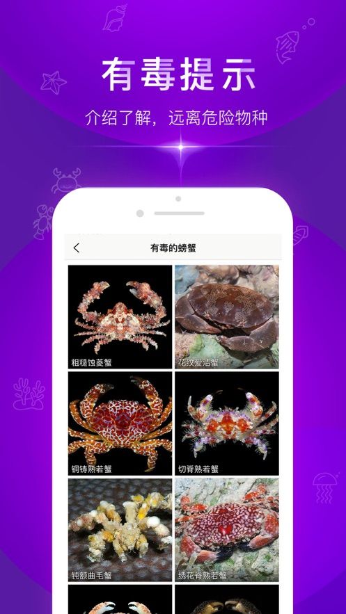 问鱼APP版手机平台