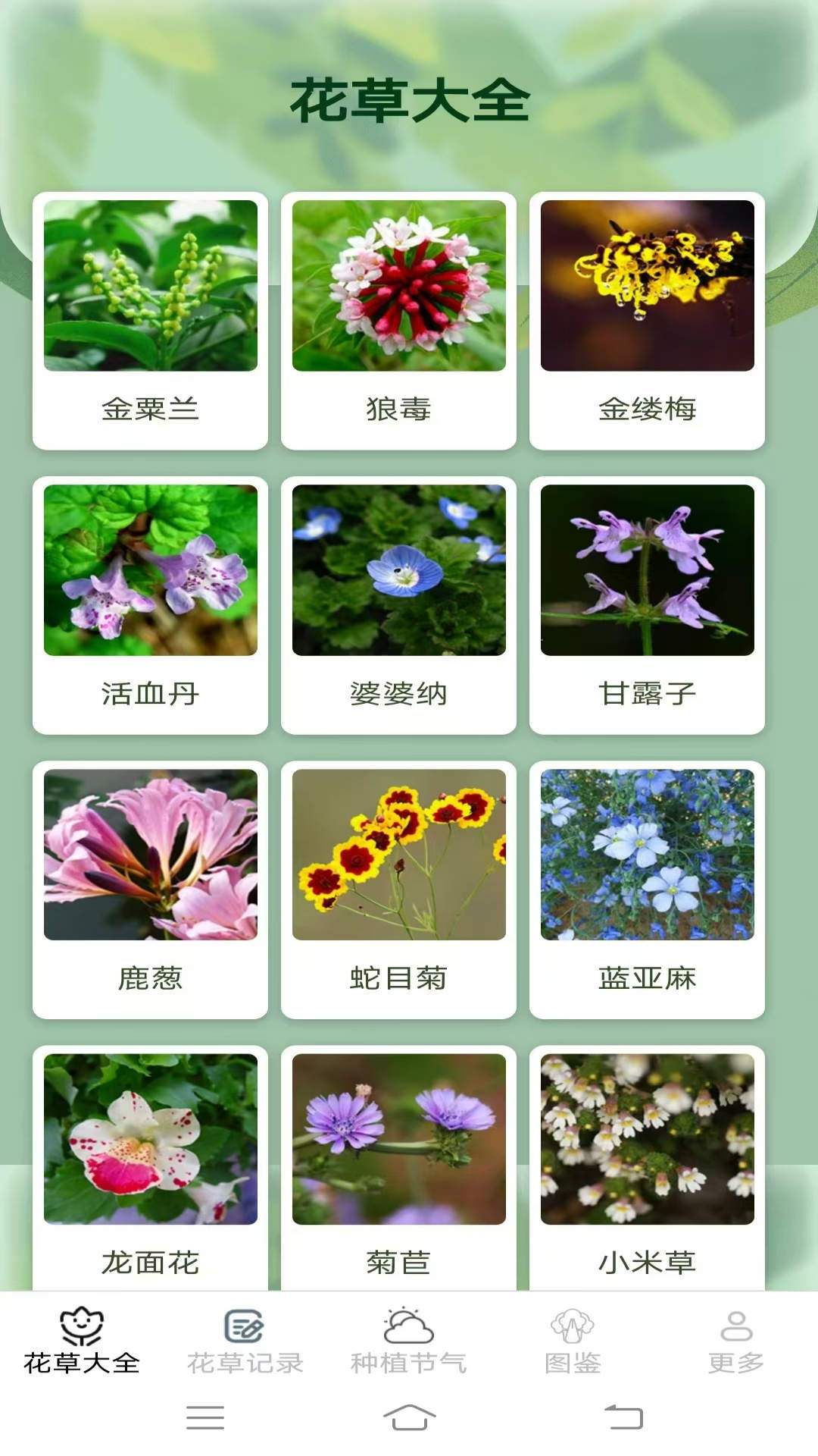 花草趣享