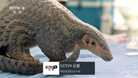 小脑斧电视软件最新版