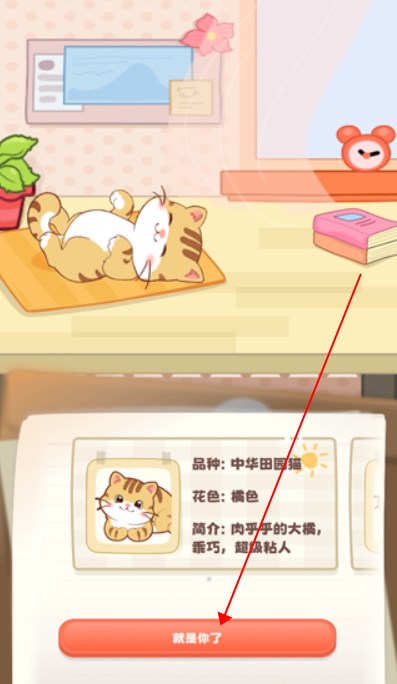 桌面喵下载