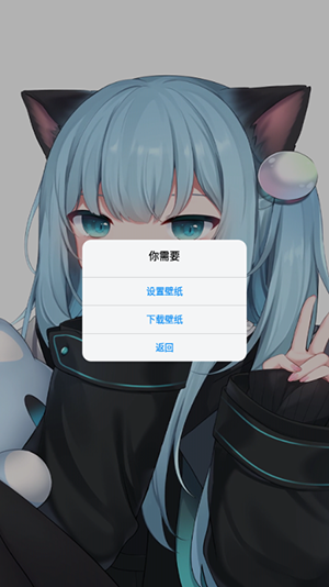 壁纸君动态壁纸