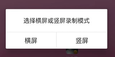 拍大师app图片4