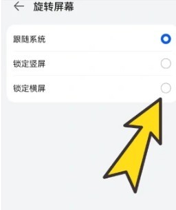 BOBO浏览器黑色版