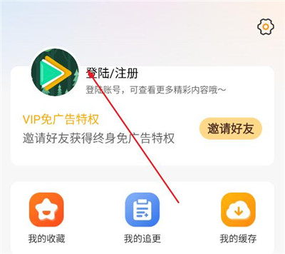 冬青影评