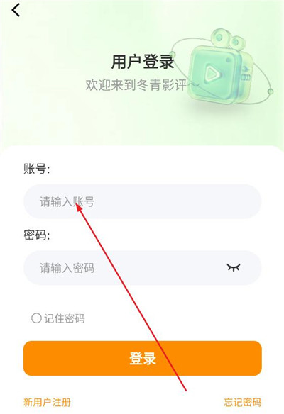 冬青影评