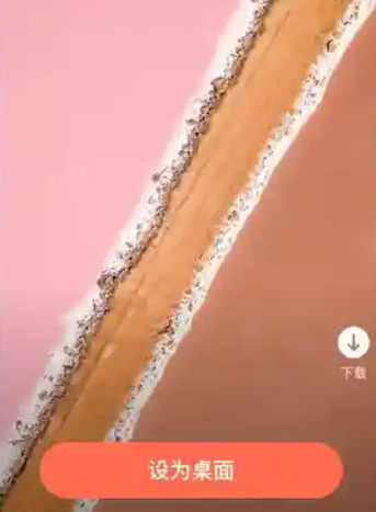 壁纸淘淘