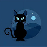 夜猫子辅助器安装包