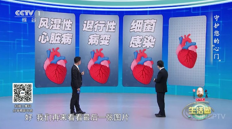 申小豹