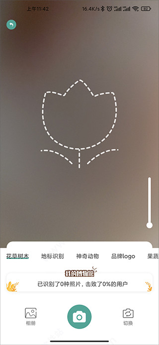 识花君