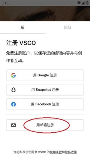 VSCO中文版