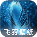 飞羽壁纸
