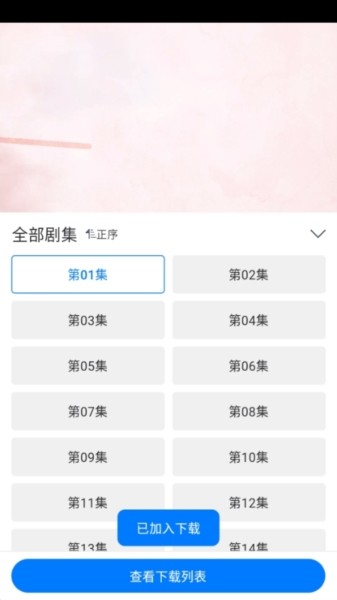 雷龙影视缓存图片3