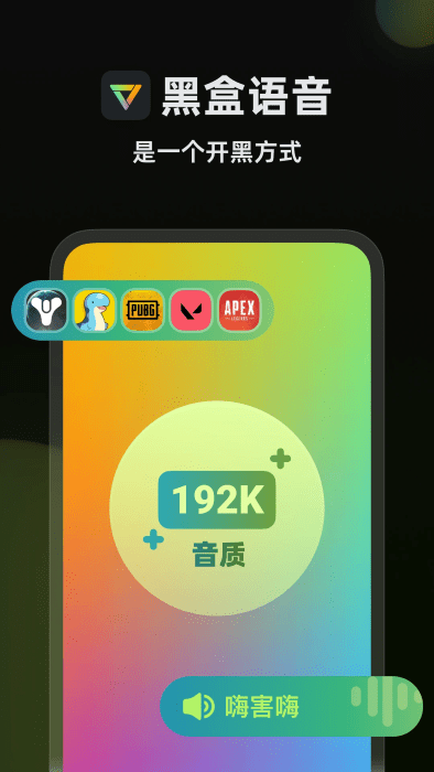 黑盒语音
