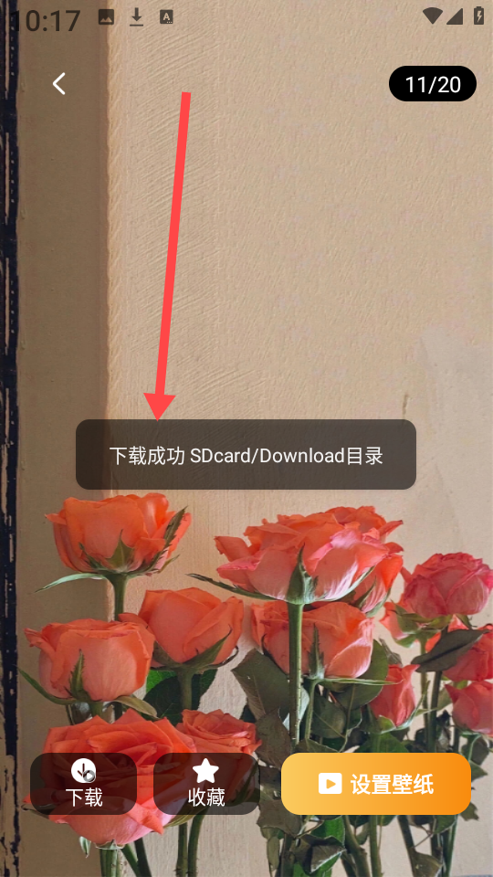 元汽动态壁纸