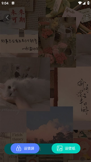 壁纸图片大全
