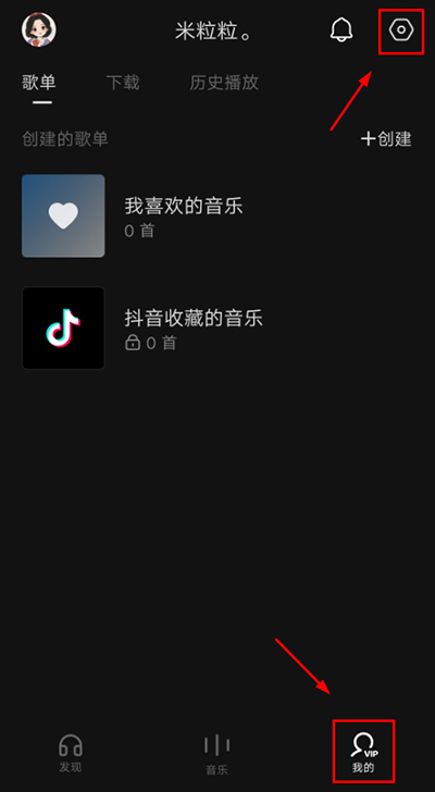 汽水音乐精简版