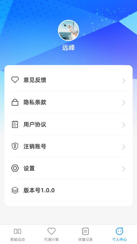 聚能巧充软件版