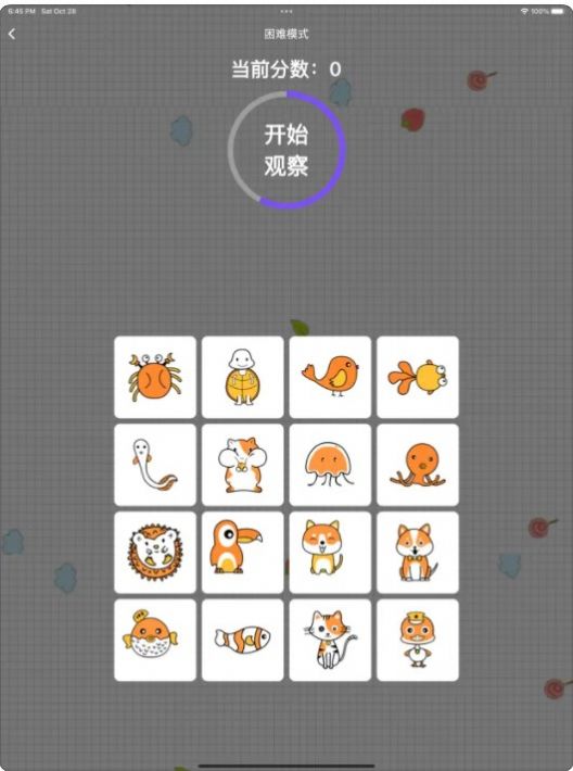 消失的宠物影视软件最新版