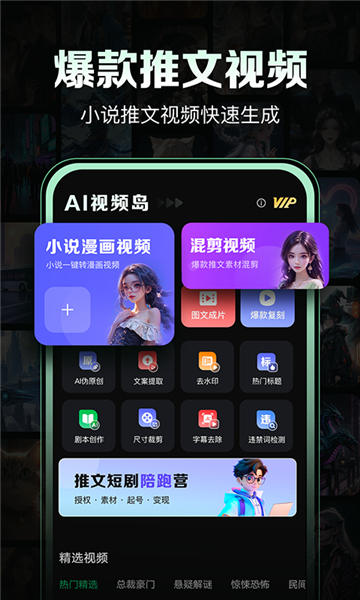 AI视频岛