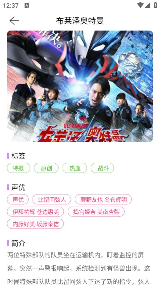 烟花动漫