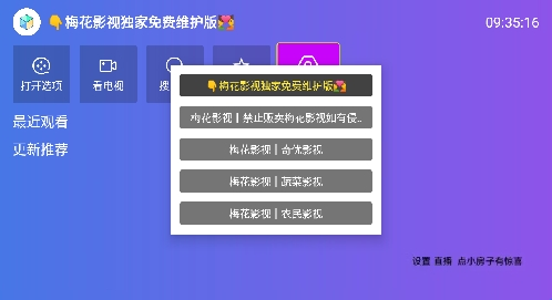梅花影视
