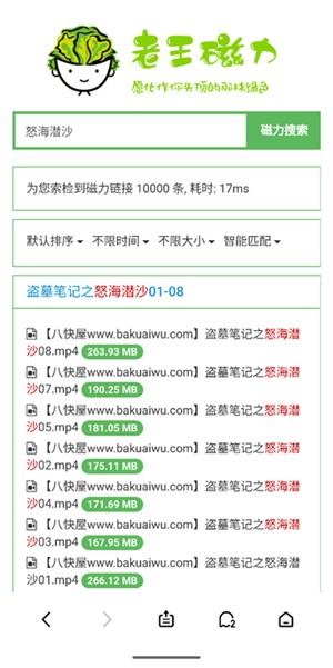 老王磁力引擎