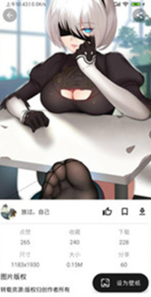 喵斯动态壁纸