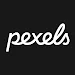 Pexels视频素材