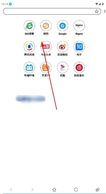 芒果浏览器