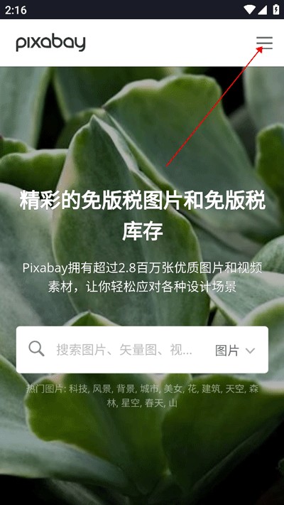 Pixabay免费素材