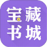 宝藏书城