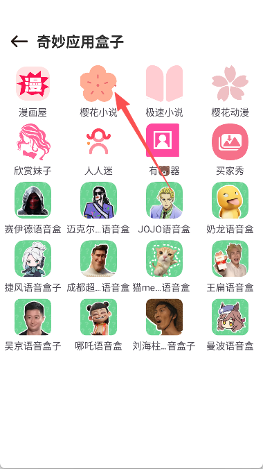 奇妙应用盒子
