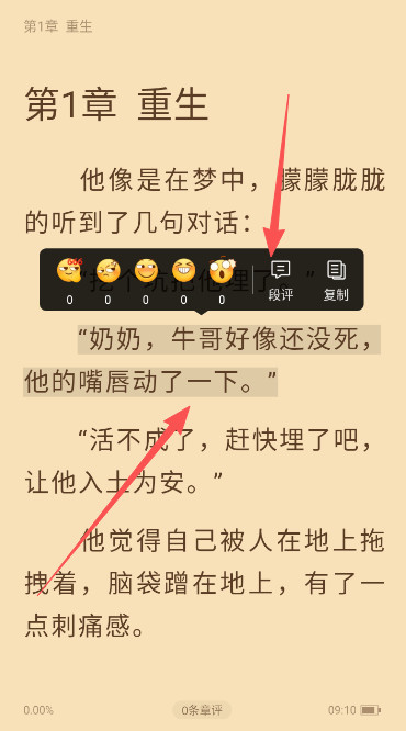 疯读小说极速版