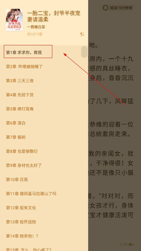 疯读小说极速版