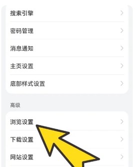 BOBO浏览器海外版