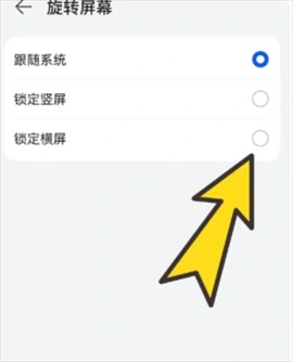 BOBO浏览器海外版