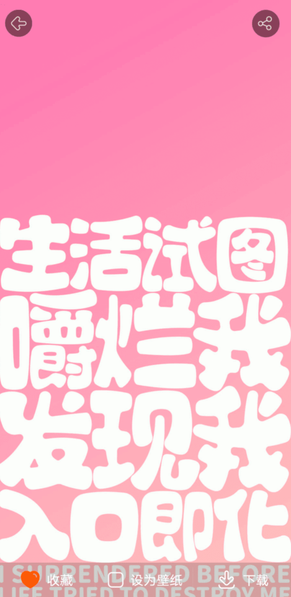 哈喽壁纸