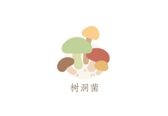 树洞菌app