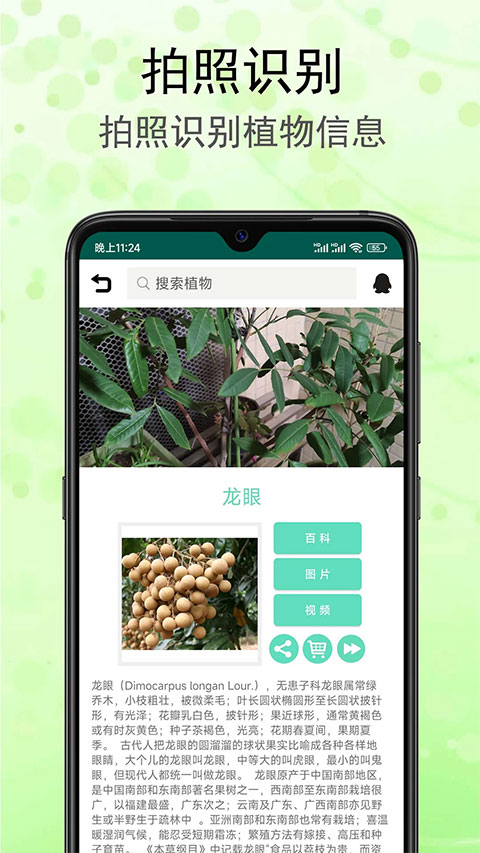 识花草