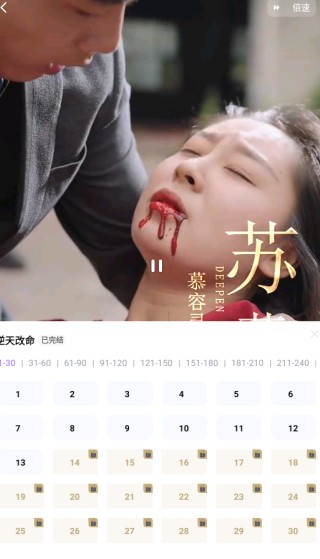 樱花剧场