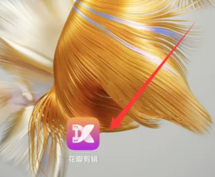 花瓣剪辑软件