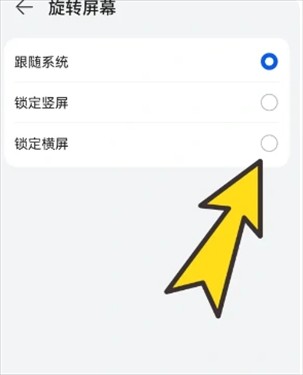 波波浏览器海外版