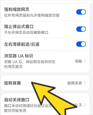 波波浏览器海外版