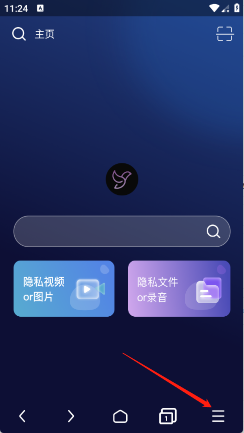 隐私浏览器