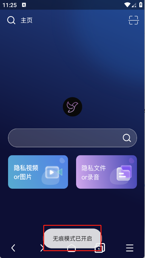 隐私浏览器